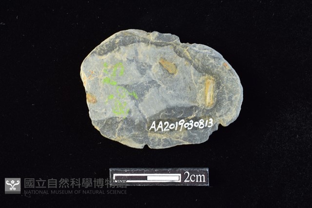 網墜藏品圖，第2張