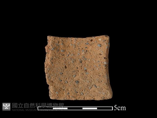 陶片藏品圖，第2張