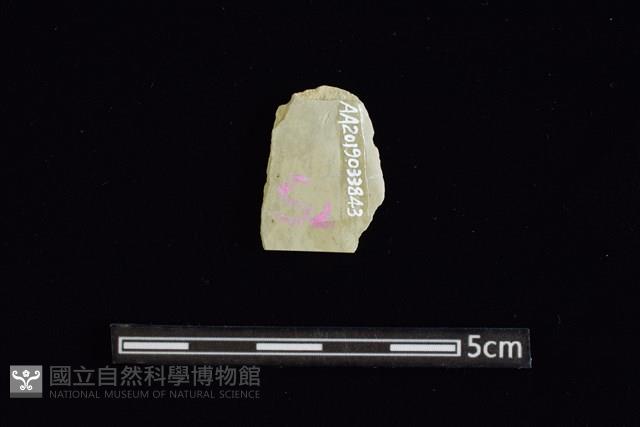 矛鏃形器藏品圖，第2張