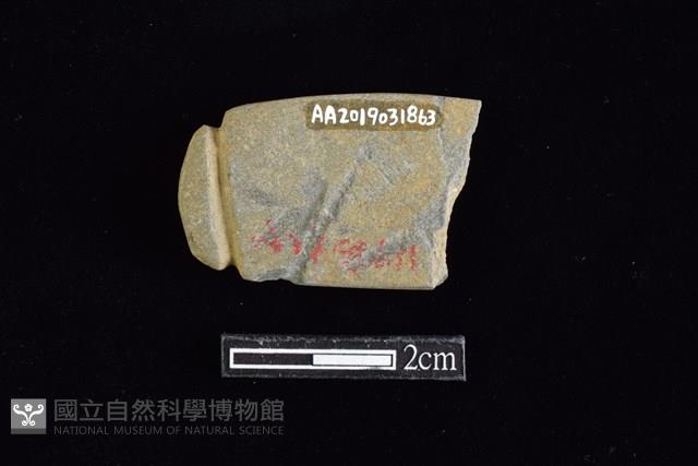 網墜藏品圖，第2張