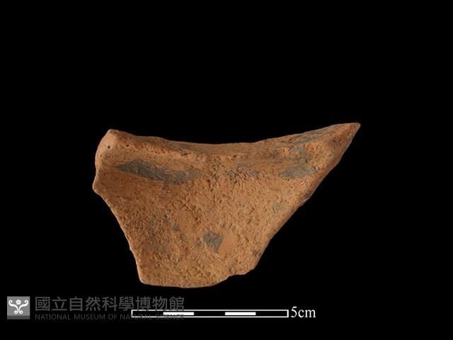 陶片藏品圖，第2張