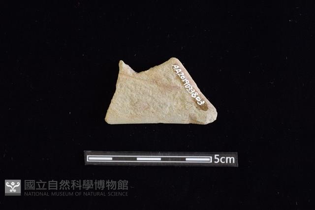 石鋸藏品圖，第2張