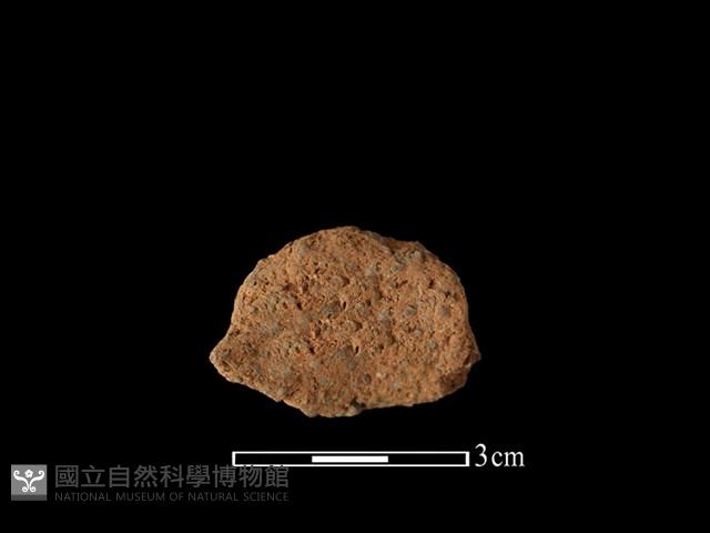 陶耳藏品圖，第2張