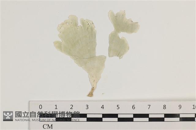 登錄號:A00004922藏品圖，第1張