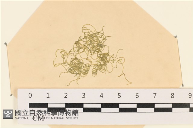 登錄號:A00003822藏品圖，第1張