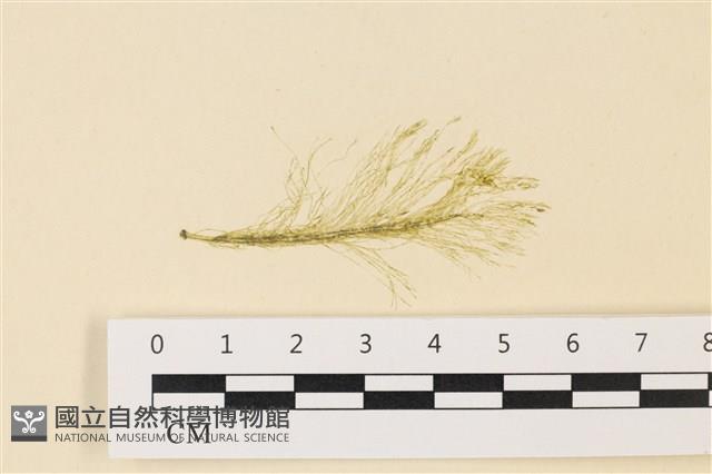 登錄號:A00004992藏品圖，第1張