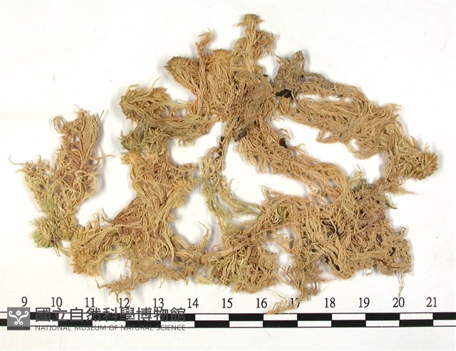 登錄號:B00010106藏品圖，第3張