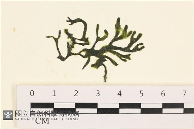 登錄號:A00000877藏品圖，第1張