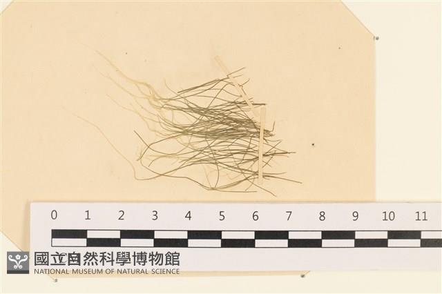 登錄號:A00003855藏品圖，第1張