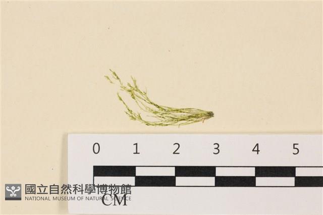 登錄號:A00004931藏品圖，第1張