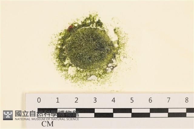 登錄號:A00005971藏品圖，第1張