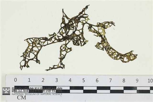 登錄號:A00007891藏品圖，第1張