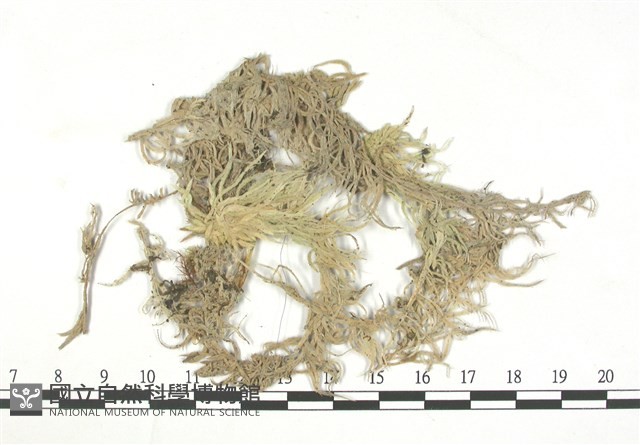 登錄號:B00003101藏品圖，第3張