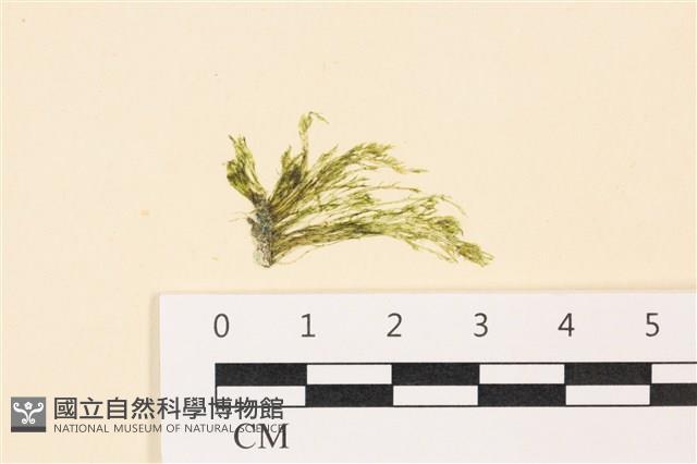 登錄號:A00004930藏品圖，第1張