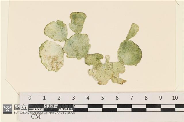 Accession Number:A00004953 Collection Image, Figure 1, Total 3 Figures