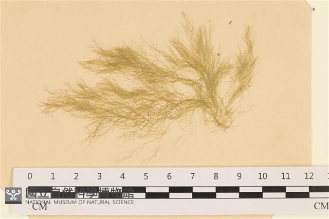 登錄號:A00003943藏品圖，第1張