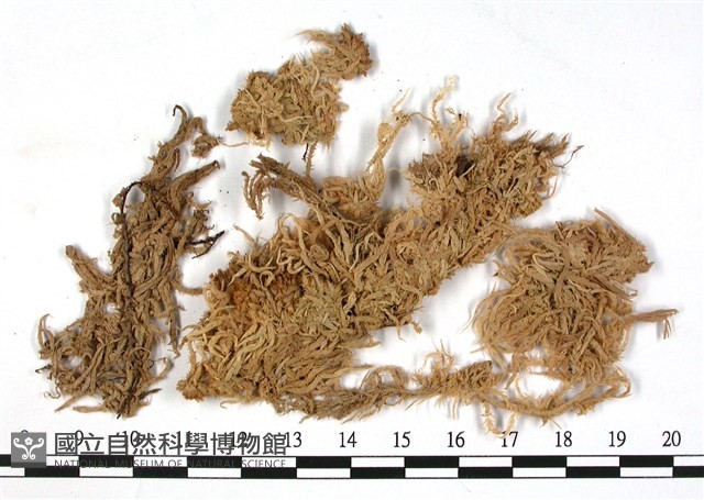 登錄號:B00010103藏品圖，第3張