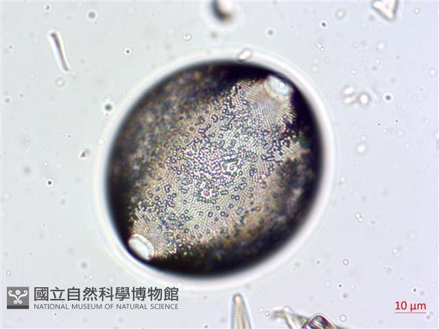 登錄號:A00004632藏品圖，第3張