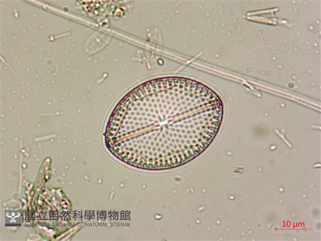 登錄號:A00004532藏品圖，第4張