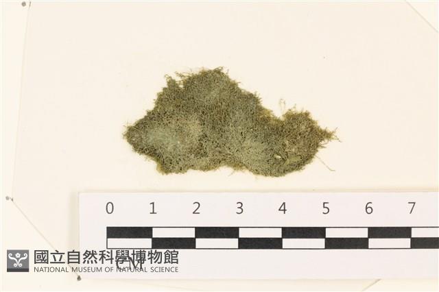 登錄號:A00002432藏品圖，第1張