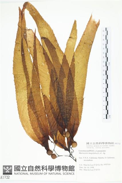 登錄號:A00001732藏品圖，第1張