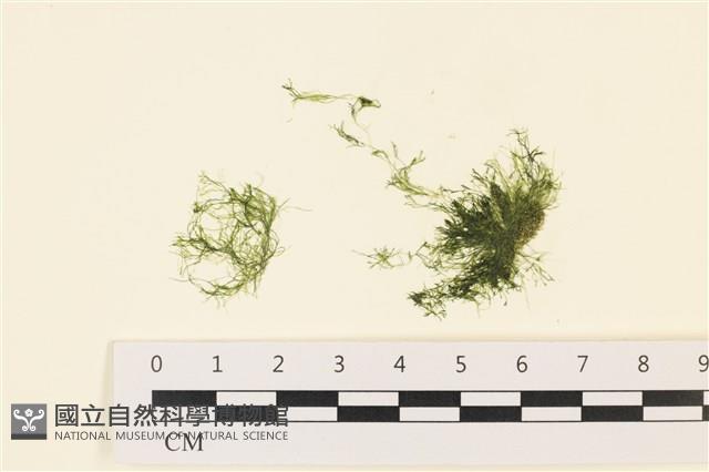 登錄號:A00000152藏品圖，第1張