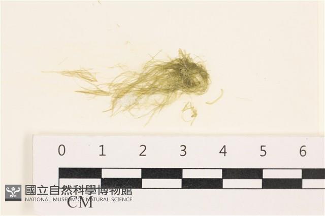 登錄號:A00002552藏品圖，第1張