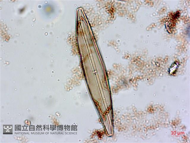 登錄號:A00004552藏品圖，第4張