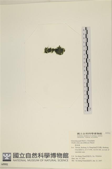 登錄號:A00005552藏品圖，第3張