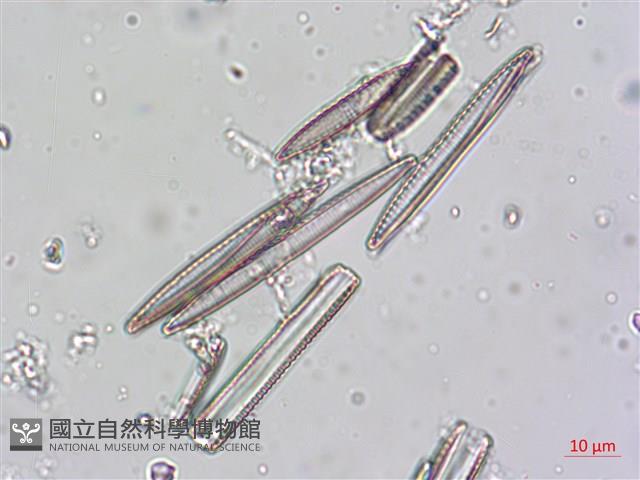 登錄號:A00004622藏品圖，第3張