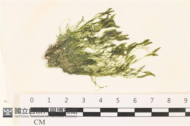 登錄號:A00002222藏品圖，第1張