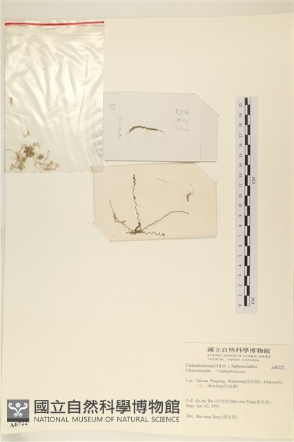 登錄號:A00006722藏品圖，第1張