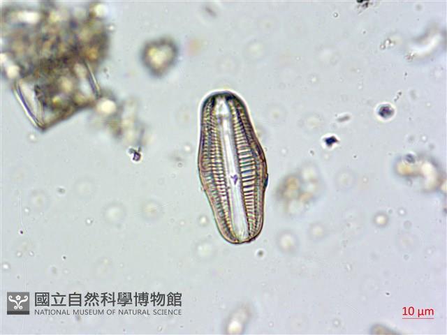 登錄號:A00004672藏品圖，第3張