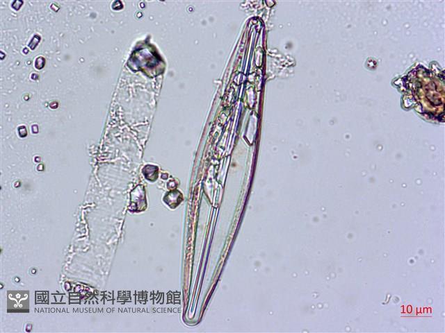 登錄號:A00004572藏品圖，第5張