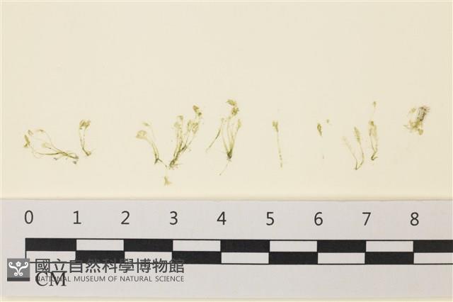 登錄號:A00001472藏品圖，第1張