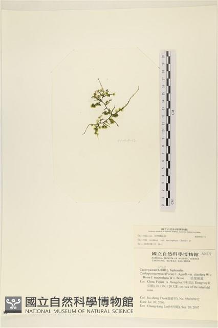 登錄號:A00005772藏品圖，第3張