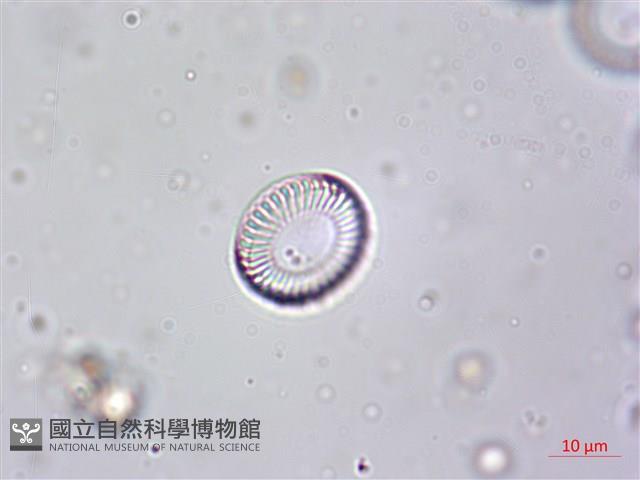 登錄號:A00004612藏品圖，第3張