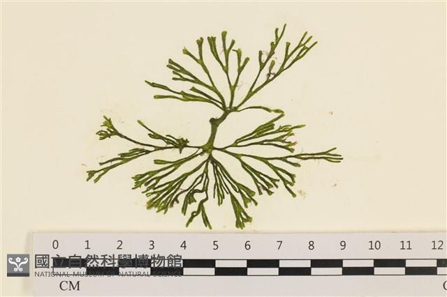 登錄號:A00006112藏品圖，第1張