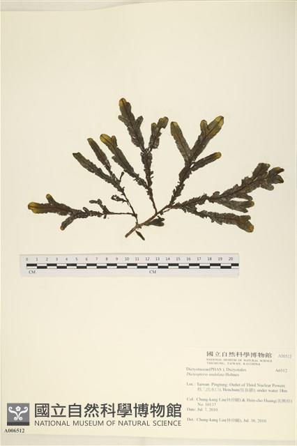 登錄號:A00006512藏品圖，第1張