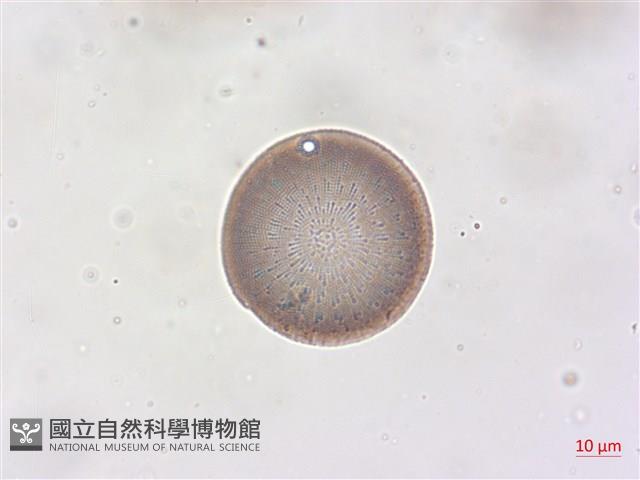登錄號:A00004512藏品圖，第3張