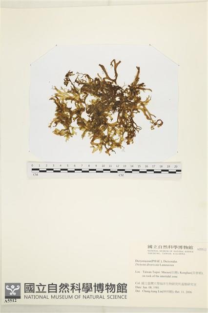 登錄號:A00005512藏品圖，第1張