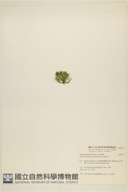 登錄號:A00006412藏品圖，第3張