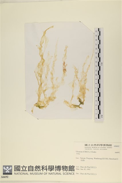 登錄號:A00006692藏品圖，第1張