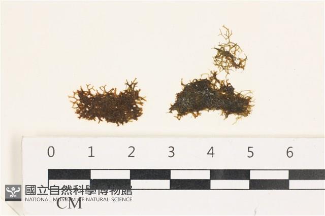登錄號:A00006192藏品圖，第1張