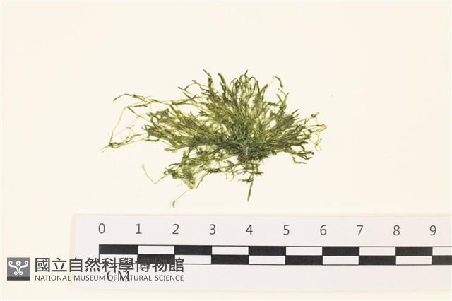 登錄號:A00006492藏品圖，第1張