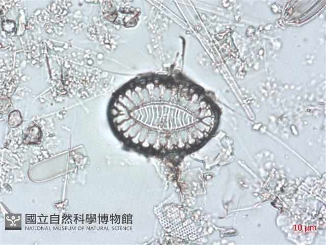 登錄號:A00004492藏品圖，第4張