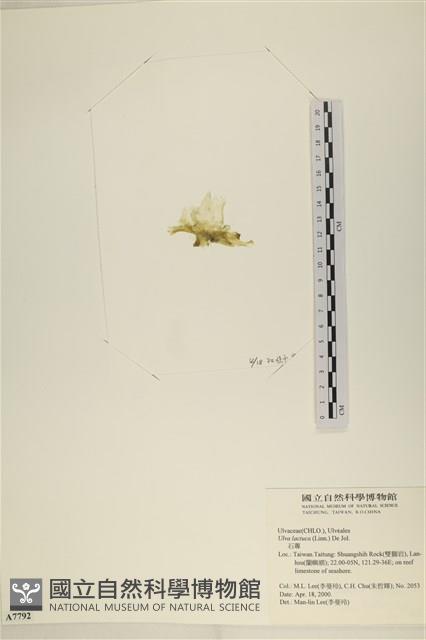 登錄號:A00007792藏品圖，第3張