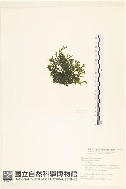 登錄號:A00005642藏品圖，第3張