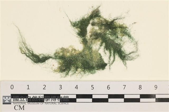 登錄號:A00001242藏品圖，第1張