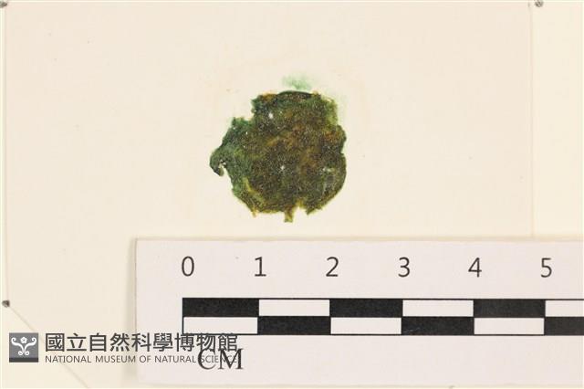 登錄號:A00002442藏品圖，第1張